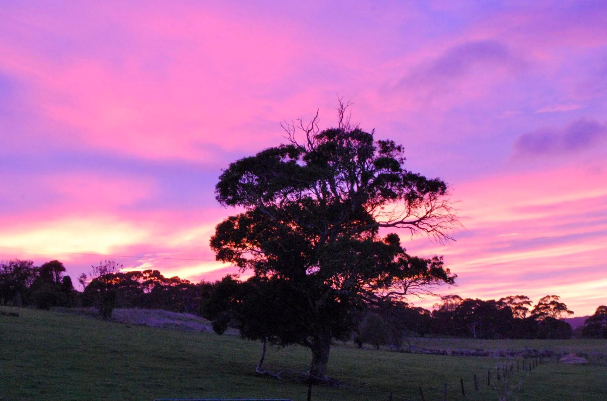 Back Valley Farmstay Bed And Breakfast Victor Harbor Exterior foto