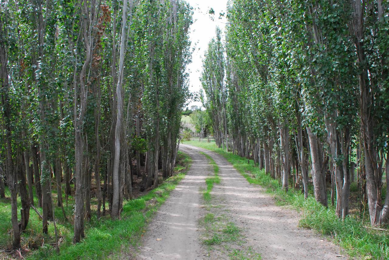 Back Valley Farmstay Bed And Breakfast Victor Harbor Exterior foto