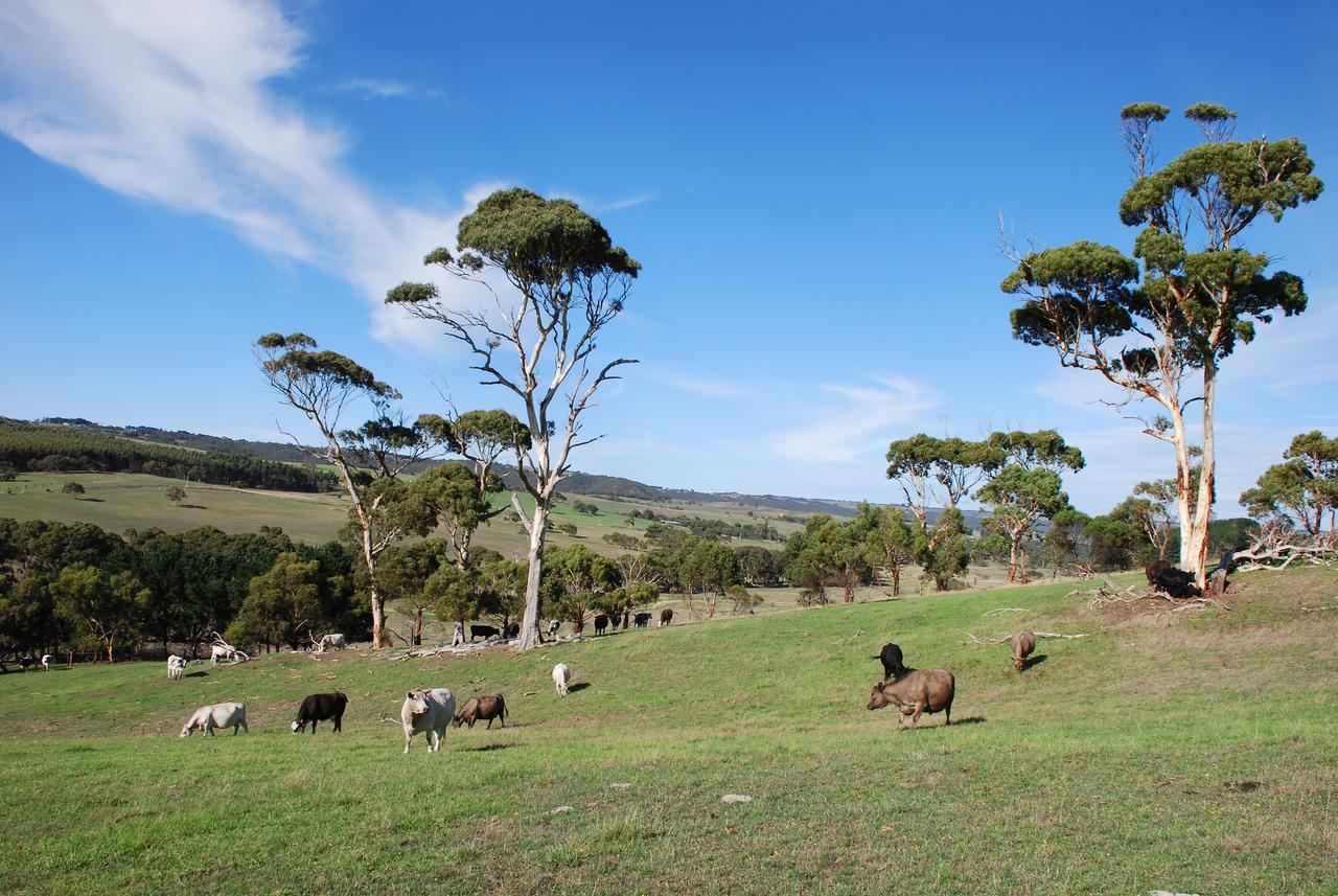 Back Valley Farmstay Bed And Breakfast Victor Harbor Exterior foto